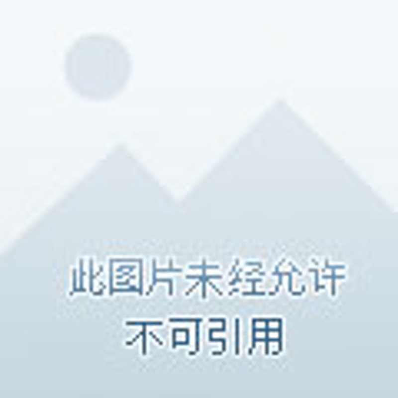 展位设计:新手如何打造吸引眼球的展台